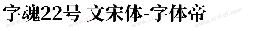 字魂22号 文宋体字体转换